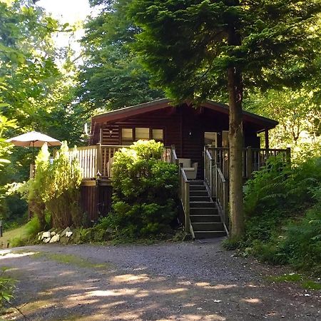 Mistletoe One Luxury Lodge With Hot Tub Windermere Eksteriør bilde
